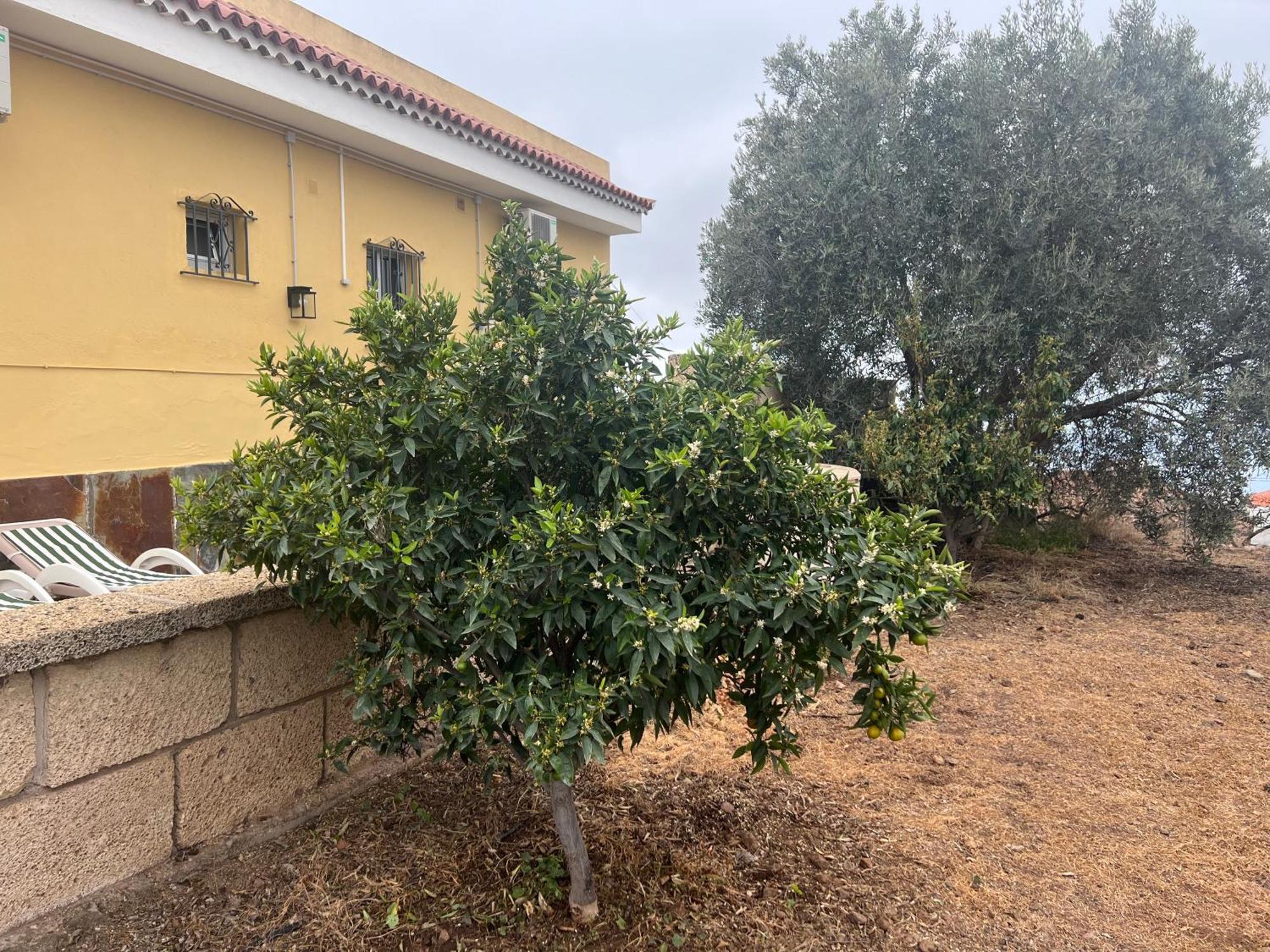 Casa Victoria Villa Costa Adeje  Kültér fotó